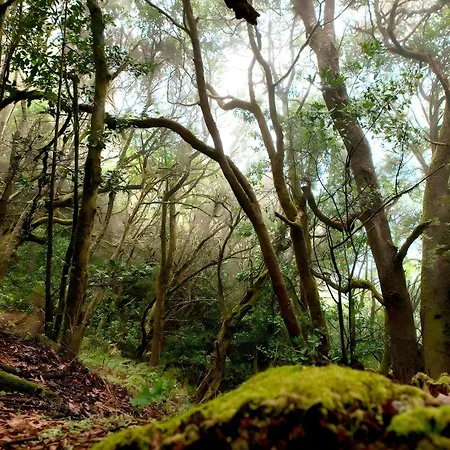 Miramar 3 Casa vacanze San Sebastián de la Gomera